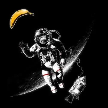 Space Monkey Stock Illustration