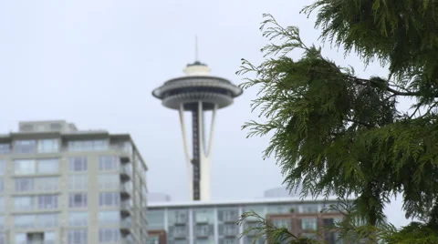 Space Needle Rack Focus Stock Footage 65255217