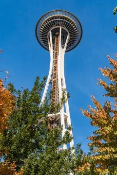 The Space Needle seen between the tree branches of Space Needle Park in Seattle Stock Photos