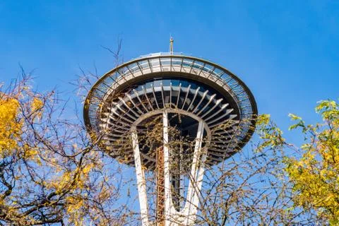 The Space Needle seen between the tree branches of Space Needle Park in Seattle Stock Photos
