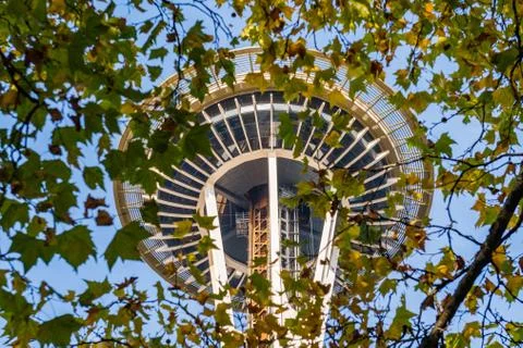 The Space Needle seen between the tree branches of Space Needle Park in Seattle Stock Photos