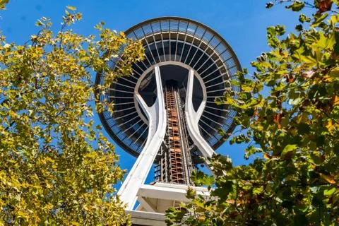 The Space Needle seen between the tree branches of Space Needle Park in Seattle Stock Photos