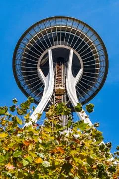 The Space Needle seen between the tree branches of Space Needle Park in Seattle Stock Photos