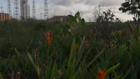 Space rocket Ariane 5 on the launch pad Stock Footage 104202515
