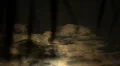 Space Shuttle Endeavour Nighttime Blasts Off HD Footage