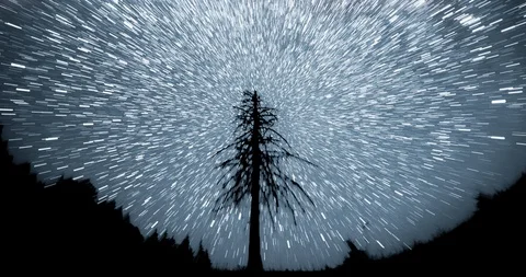 Space Speed Nature concept 4k timelapse - stars sky pine abstract backgrounds Stock Footage