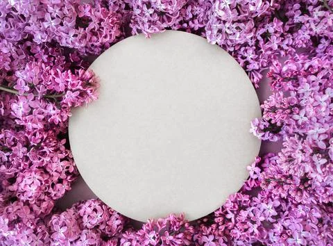 Space for text or logo surrounded by fresh lilac flowers in blossom. Violet Stock Photos