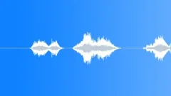 SPACE, VOICE Sound Effect