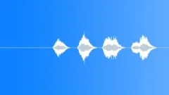 SPACE, VOICESound Effect