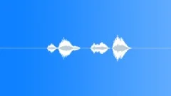 SPACE, VOICE Sound Effect
