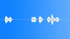 SPACE, VOICE Sound Effect