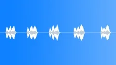 SPACE, VOICE Sound Effect
