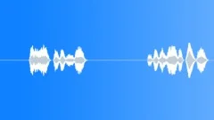 SPACE, VOICESound Effect