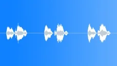 SPACE, VOICE Sound Effect