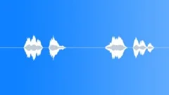 SPACE, VOICESound Effect