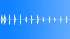 SPACE, VOICE Sound Effect