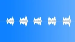 SPACE, VOICESound Effect