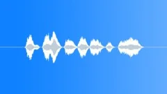 SPACE, VOICESound Effect