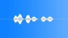 SPACE, VOICE Sound Effect