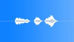SPACE, VOICE Sound Effect