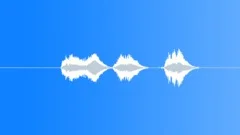 SPACE, VOICE Sound Effect