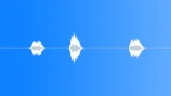 SPACE, VOICESound Effect