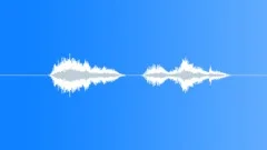 SPACE, VOICE Sound Effect