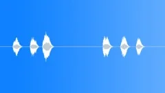 SPACE, VOICESound Effect