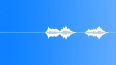SPACE, VOICE Sound Effect