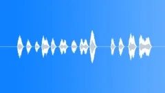 SPACE, VOICE Sound Effect