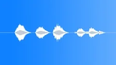 SPACE, VOICESound Effect