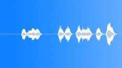SPACE, VOICESound Effect