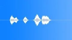 SPACE, VOICE Sound Effect