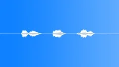 SPACE, VOICE Sound Effect