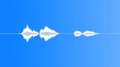 SPACE, VOICE Sound Effect