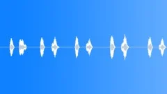 SPACE, VOICESound Effect