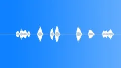 SPACE, VOICESound Effect