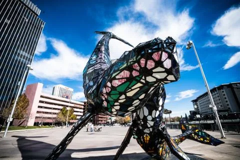 SPACE WHALE Stock Photos