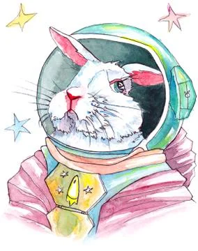 Spacebun, the astronaut rabbit Stock Illustration