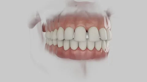 Spacing Aligner Stock Footage 316808291