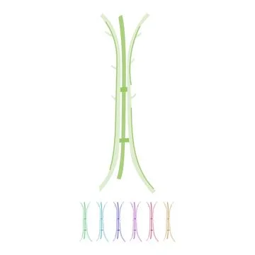 Spacious coat rack vector cartoon graphic Stock Illustration