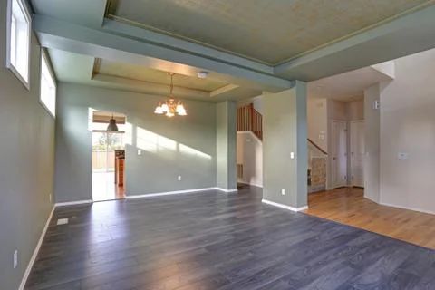 Spacious empty living room interior with dark grey hardwood floor, green oliv Stock Photos