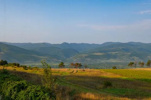 Spacious green fields and mountains in georgia in summer Foto stock