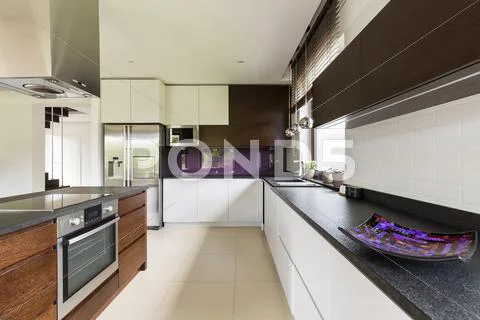 Spacious kitchen for a talented chef Stock Photos