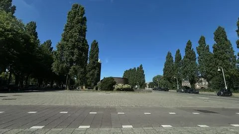 Spacious urban square with tall trees, clear blue sky, paved foreground, parked Stock Photos