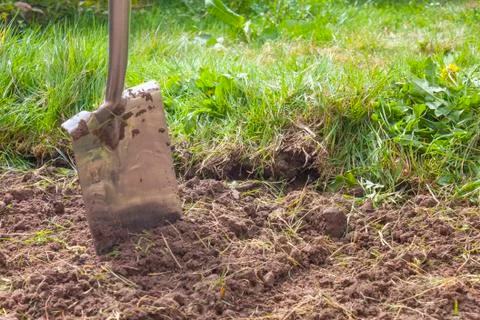 Spade in Dirt Stock Photos