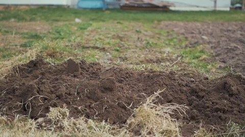 Spade in the ground Stock Footage 89447367