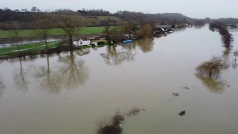 Spade Oak Flood Vídeos de archivo 204840173