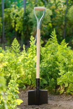 Spade in soil Stock Photos