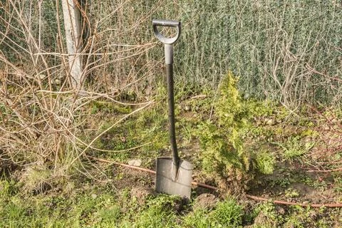 Spade stuck in soil Stock Photos
